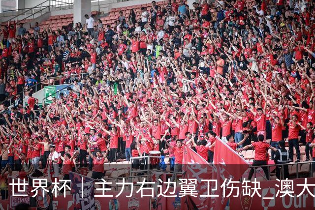 世界杯｜主力右边翼卫伤缺 澳大利亚晋级前景蒙阴影