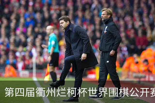 第四届衢州烂柯杯世界围棋公开赛盛大开幕